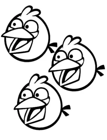 Angry Birds para colorir