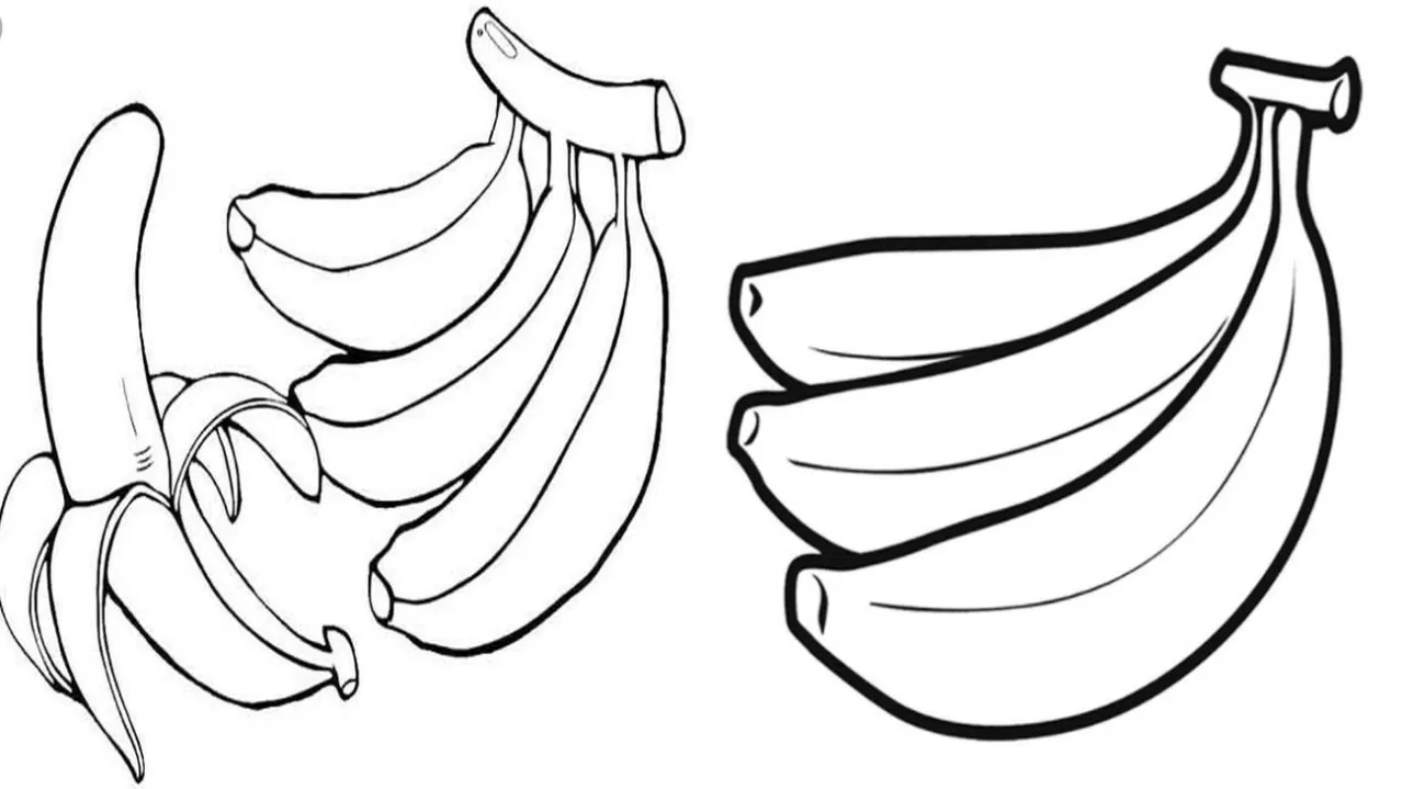 Várias bananas para colorir e pintar