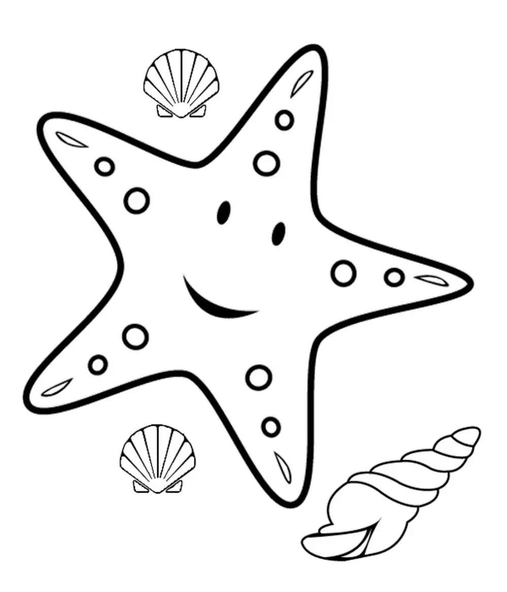 Estrela do Mar para imprimir