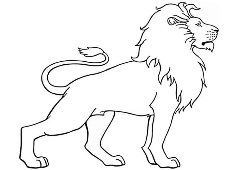 Rei leão para colorir