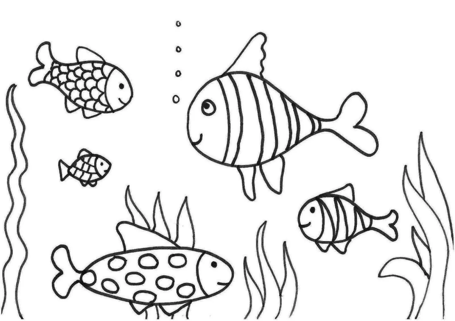 Vários peixinhos para pintar e imprimir