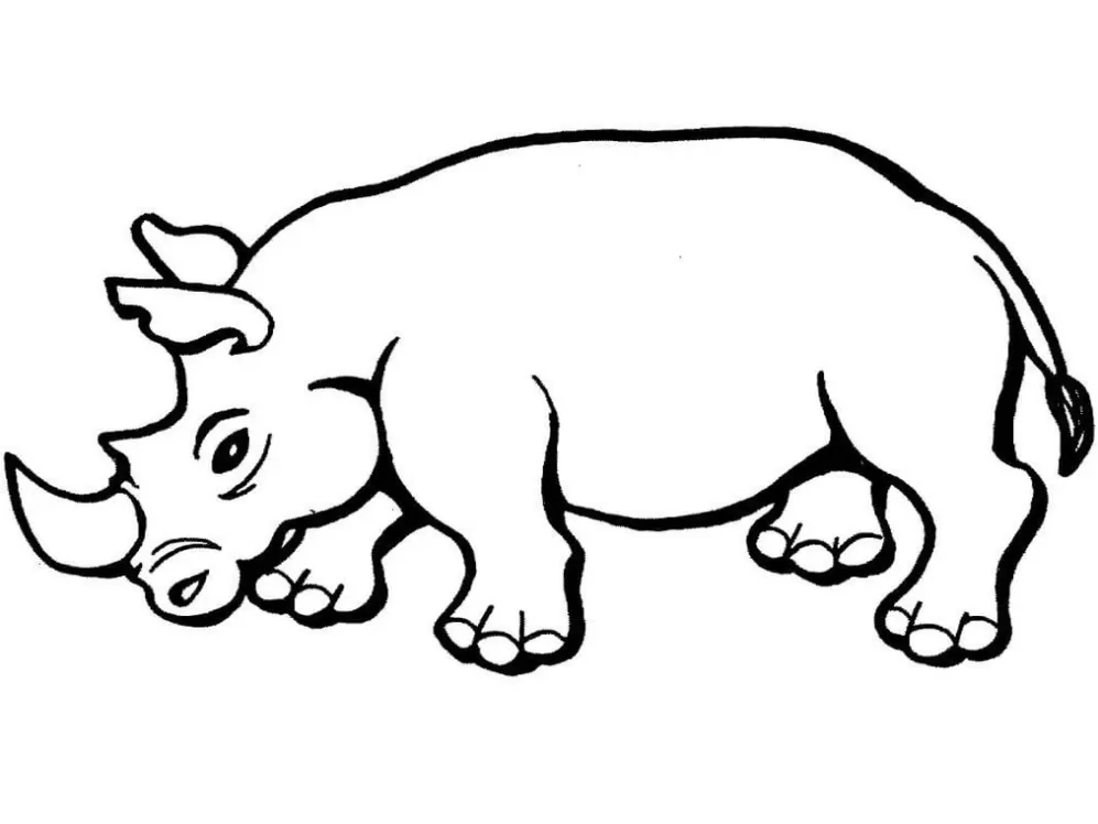 Rinoceronte para imprimir