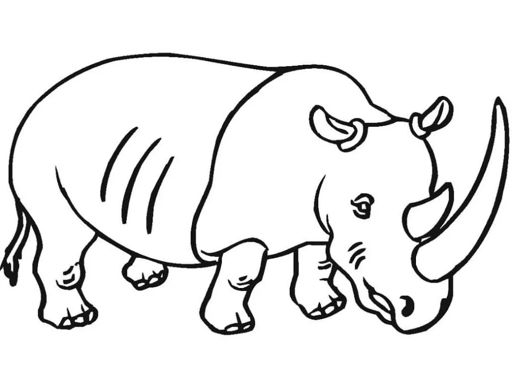 Rinoceronte para pintar