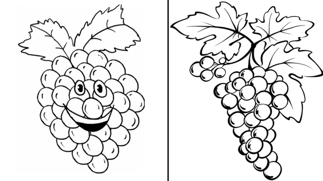 Dois cachos de uva para imprimir