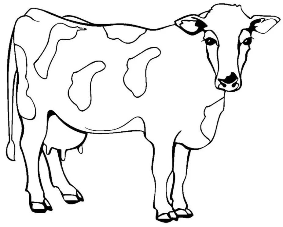 Vaca para colorir
