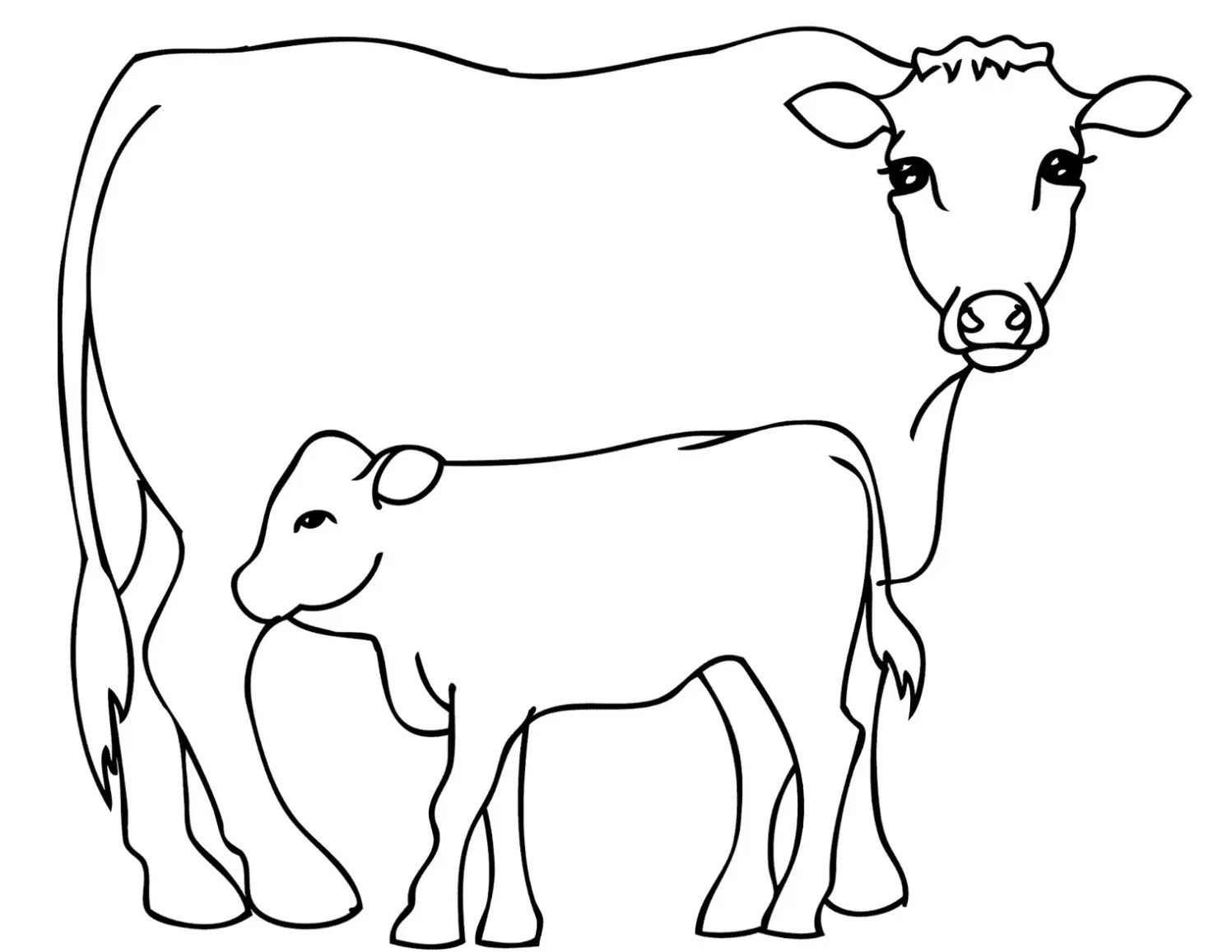 Vaca e Bezerro para pintar e imprimir